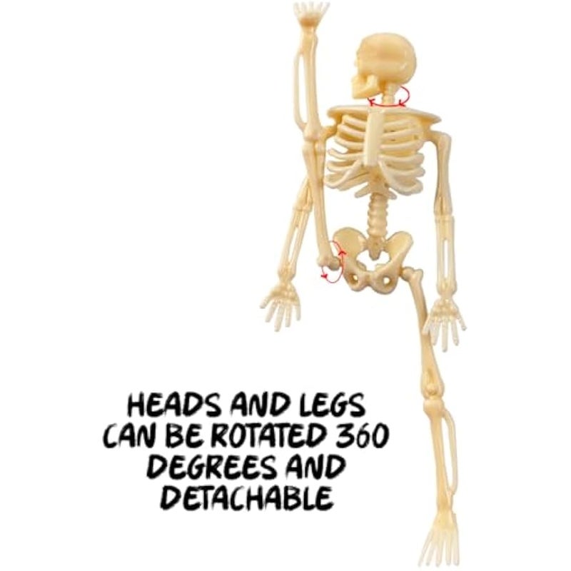 20PCS 6 Inch Mini Skeleton Figurines, Small Skeletons  Decorations for Craft Haunted House Accessories Party Favors (20) - Image 4